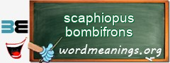 WordMeaning blackboard for scaphiopus bombifrons
